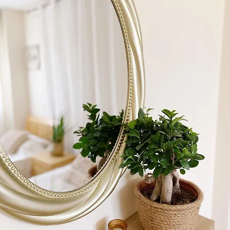 Apartamento Nissi Elena *